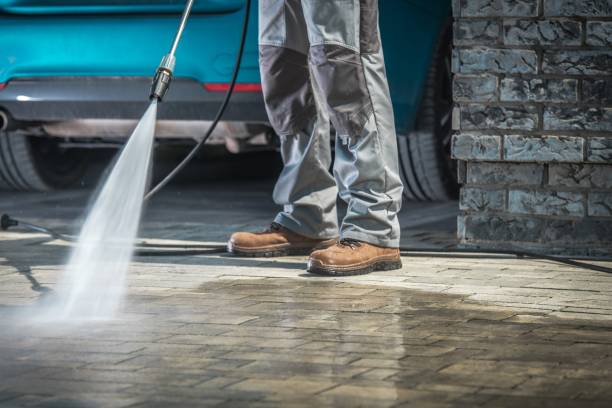 Best Gutter Cleaning  in Hidalgo, TX