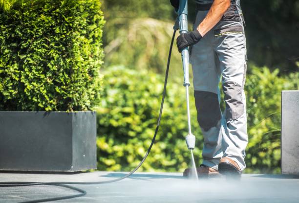 Best Concrete Sealing  in Hidalgo, TX