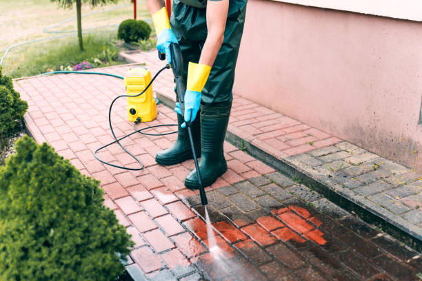 Best Fence Cleaning  in Hidalgo, TX