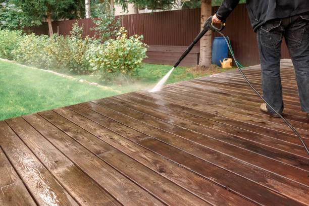 Best House Exterior Washing  in Hidalgo, TX