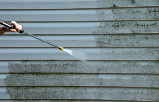 Best Patio and Deck Pressure Washing  in Hidalgo, TX
