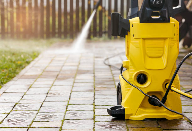Best Sidewalk and Walkway Cleaning  in Hidalgo, TX